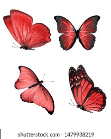 280,197 Red butterfly Images, Stock Photos & Vectors | Shutterstock