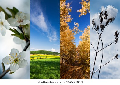 31,616 All on four Images, Stock Photos & Vectors | Shutterstock