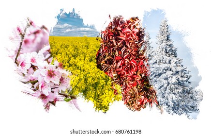 Four season collage - grungy spatters isolated on white background. All used photos belong to me.