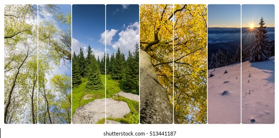 Four Season Collage From Vertical Banners On White Background. All Used Photos Belong To Me.