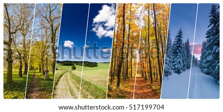 Four season collage from vertical banners with roads in landscape. All used photos belong to me.