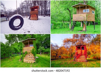 Four Season House On Tree In Garden