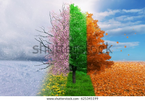 Four season tree magical,\
nature