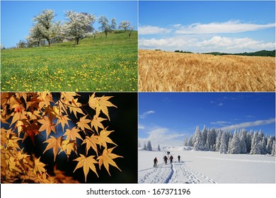 4,315,511 Estaciones del año Images, Stock Photos & Vectors | Shutterstock