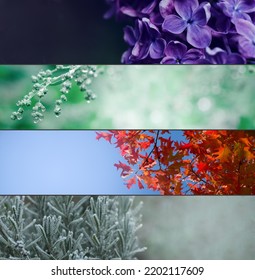 Four Seasons Banners Set. Collection of Spring Summer autumn and Winter natural backgrounds in wide format with blurred copy space. - Shutterstock ID 2202117609
