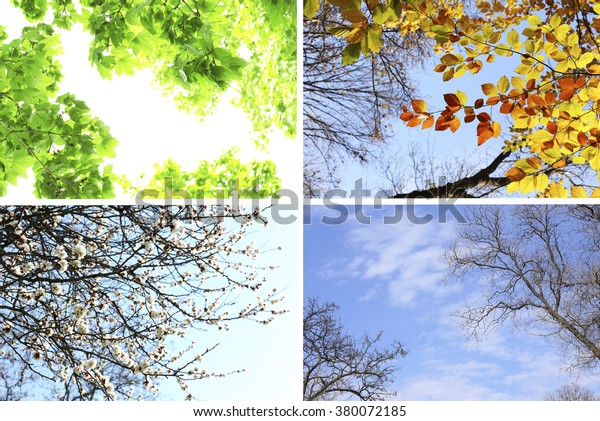 Four Seasons Collage Several Photos Beautiful Stock Photo (Edit Now ...