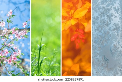 Four seasons. Different pictures representing the four seasons: Spring, summer, autumn and winter. Copy space - Shutterstock ID 2258829891