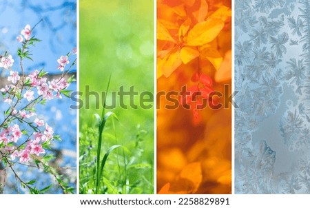 Four seasons. Different pictures representing the four seasons: Spring, summer, autumn and winter. Copy space