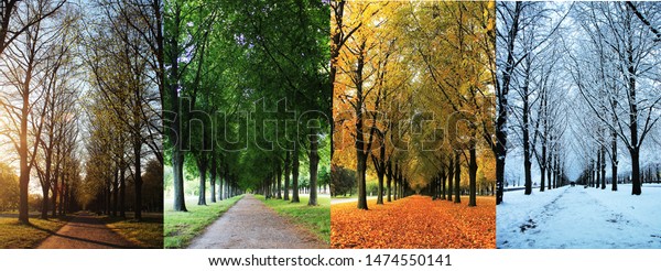 The four seasons of the\
herrenhausen garden alley in hanover / Germany - spring, summer,\
autumn, winter