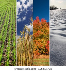 Four Seasons: Spring, Summer, Autumn And Winter. Vertical Banners.