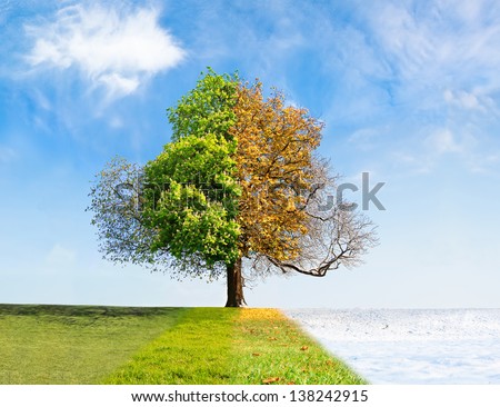 Four seasons tree time passing concept