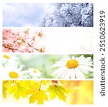 Four seasons of year. Set of horizontal nature banners with winter, spring, summer and autumn scenes. Nature collage with seasonal scenics. Copy space for text