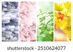 Four seasons of year. Set of vertical nature banners with winter, spring, summer and autumn scenes. Nature collage with seasonal scenics. Copy space for text