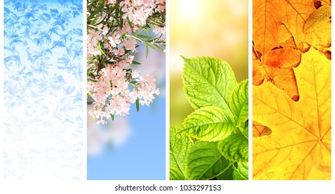 Four Seasons Of Year. Set Of Vertical Nature Banners With Winter, Spring, Summer And Autumn Scenes