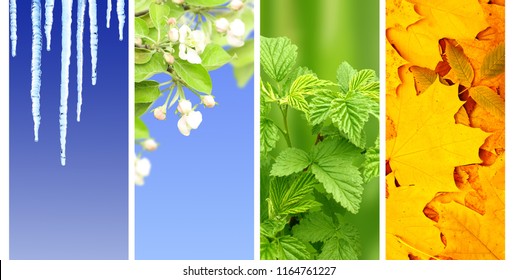 Four Seasons Of Year. Set Of Vertical Nature Banners With Winter, Spring, Summer And Autumn Scenes