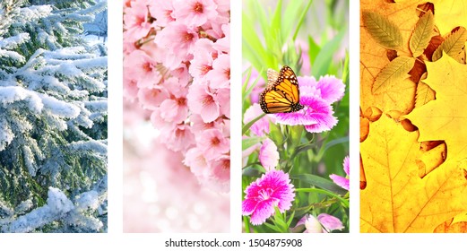 Four Seasons Of Year. Set Of Vertical Nature Banners With Winter, Spring, Summer And Autumn Scenes