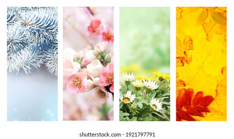 Four seasons of year. Set of vertical nature banners with winter, spring, summer and autumn scenes. Copy space for text - Shutterstock ID 1921797791