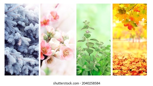 Four seasons of year. Set of vertical nature banners with winter, spring, summer and autumn scenes. Copy space for text - Shutterstock ID 2040258584
