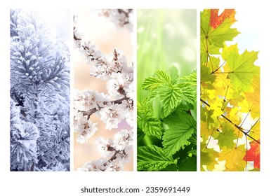 Four seasons of year. Set of vertical nature banners with winter, spring, summer and autumn scenes. Nature collage with seasonal scenics. Copy space for text - Powered by Shutterstock