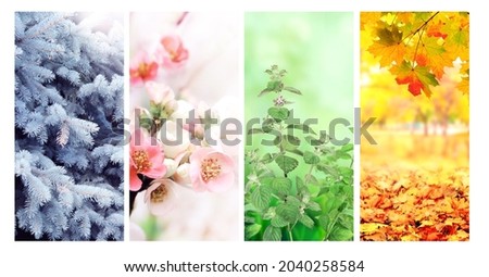 Four seasons of year. Set of vertical nature banners with winter, spring, summer and autumn scenes. Copy space for text