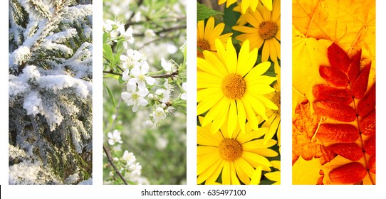 Four Seasons Of Year. Vertical Nature Banners With Winter, Spring, Summer And Autumn Scenes