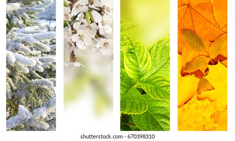 Four Seasons Of Year. Vertical Nature Banners With Winter, Spring, Summer And Autumn Scenes