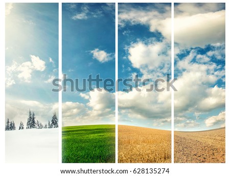 four seasons of year, winter, spring, summer and autumn, nature photo concept