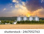 four silos in rural area at the field in spring time with green field in foreground and blue sky
