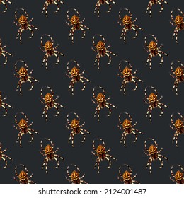 Four spot orb weaver spider pattern isolated on black background. Araneus quadratus garden arachnid spooky texture on dark backdrop. Yellow spotted arachnid print for Halloween