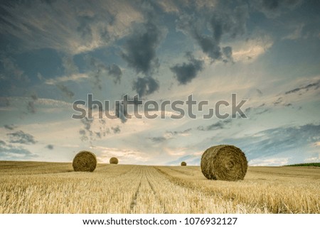 Similar – Foto Bild Wolkenformation die wie ein Vogel aussieht über einem abgeernteten Feld mit Strohballen.