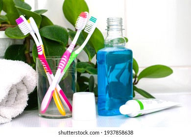 Four Toothbrushes In A Glass Cup Mouthwash A Tube Of Toothpaste And A Rolled Up Towel On The Dressing Table Against A Backdrop Of Green Foliage. High Quality Photo