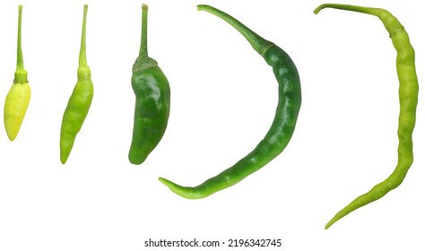 Four Varieties Of Fresh Green Peppers Different Shapes And Sizes.