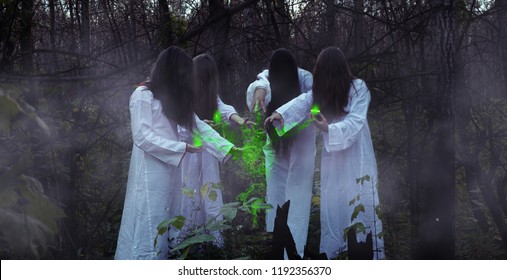 Four witches for Halloween in a gloomy forest. Witches in a dark forest on Halloween with green lights.
