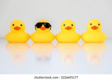 Four yellow rubber ducks in a row, one standing out wearing black sunglasses, with reflection, organisation concept, get one’s ducks in a row. White background.