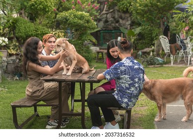 Four Young Asian Friends Sitting On A Bench At A House Yard Hanging Out And Petting 2 Friendly Dogs.