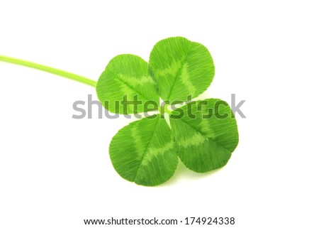 Four-leaf clover
