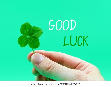 Four-leaf clover in a hand, isolated on a green background. 'Good luck' card. Concept St. patricks day, success,... - Shutterstock ID 2338442517