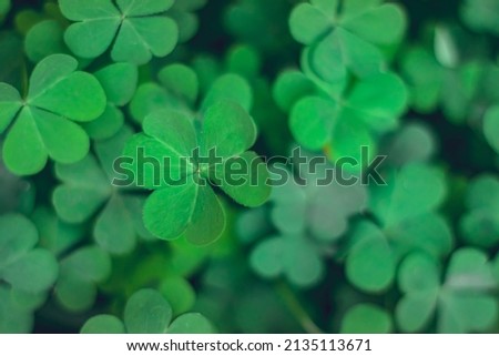 four-leaf clover leaf's with depthfield 