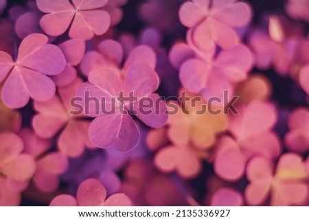 four-leaf clover leaf's with depthfield 