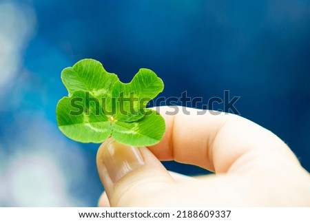 young hand in turquoise jacket holds four-leaf green clover