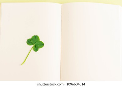 Four-leaf clovers calling for luck - Shutterstock ID 1096684814