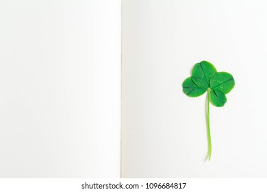 Four-leaf clovers calling for luck - Shutterstock ID 1096684817