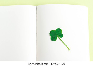 Four-leaf clovers calling for luck - Shutterstock ID 1096684820