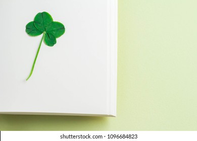 Four-leaf clovers calling for luck - Shutterstock ID 1096684823