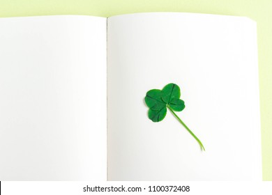 Four-leaf clovers calling for luck - Shutterstock ID 1100372408