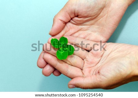 Similar – Image, Stock Photo lucky clover Leaf Positive