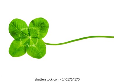 5,605 Leave clover Images, Stock Photos & Vectors | Shutterstock