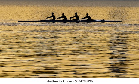 
Four-person Rowing Sport