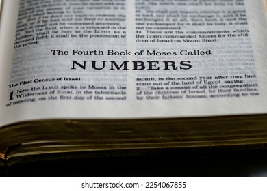 the fourth book of Moses from the bible called Numbers title page image with bokeh, Old Testament or Torah for Christian and Jewish religion - Shutterstock ID 2254067855
