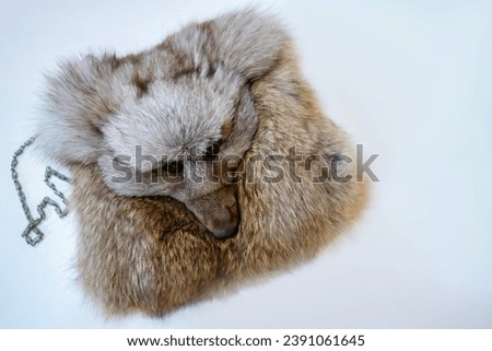 Fox fur and handbag with real fur displayed in a shop. a bag in the form of a muzzle of a fox